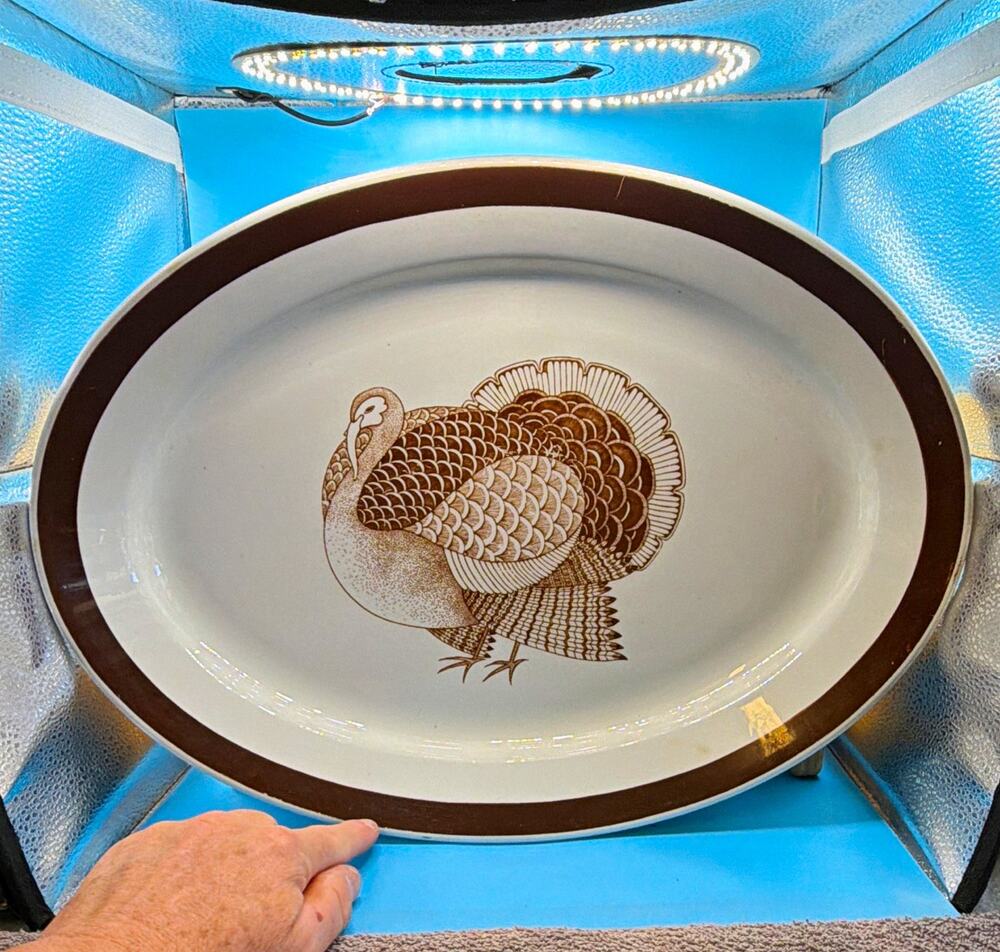 Arabia Finland Turkey Pattern Oval Ceramic Serving Platter Brown Rim 558. 3 chip